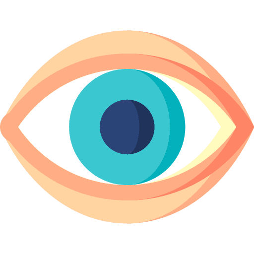 OUR VISION